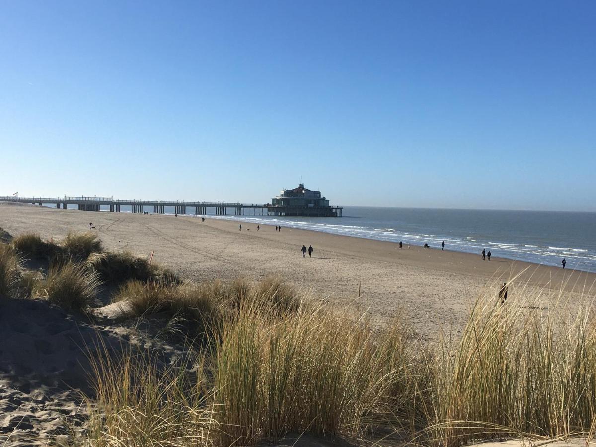 Oase 'T Huyseke Villa Blankenberge Exterior foto